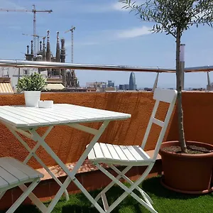  Apartman Your In