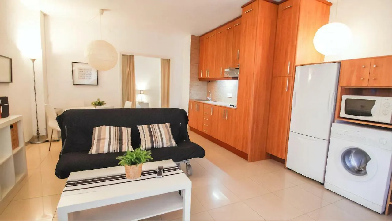 Barcelona Downtown Apartments Spain